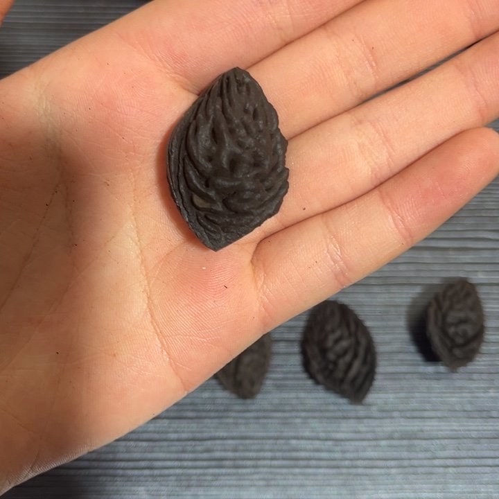 马***腾野生桃枭野生桃枭