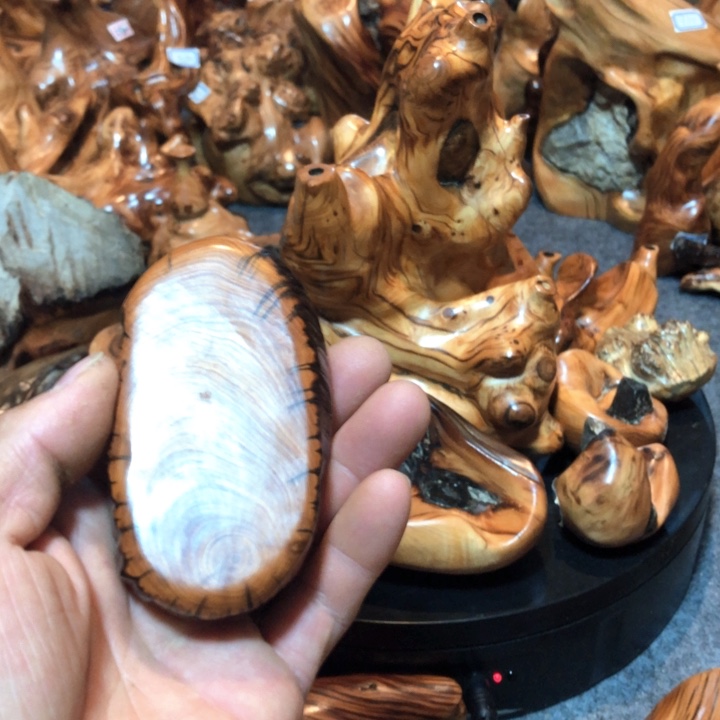 沙***浪柏木（崖柏）崖柏是1