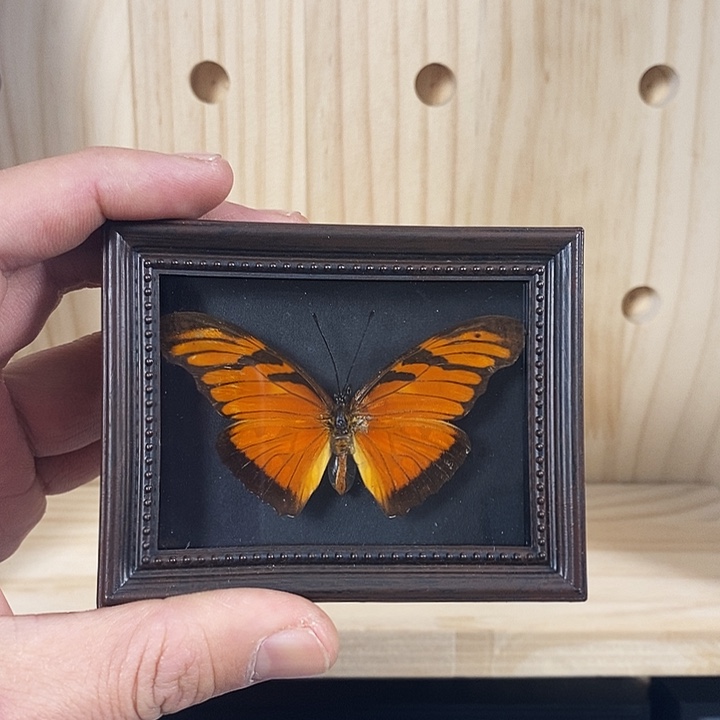 珐琅铁合金天后银纹绣蝶