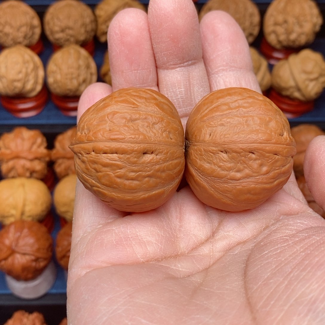 把件文玩核桃与*书手捻龙胆元宝