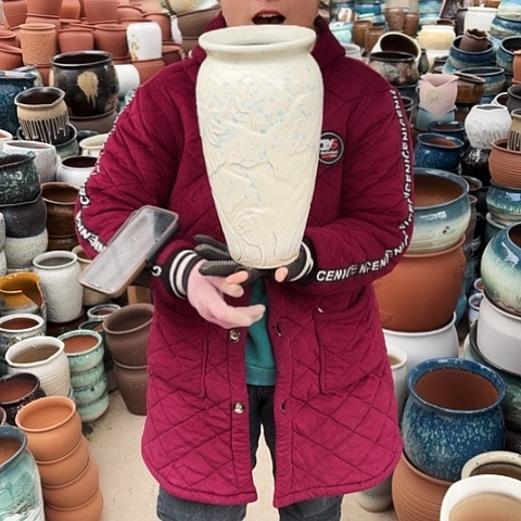 15口31高盆子盆子。