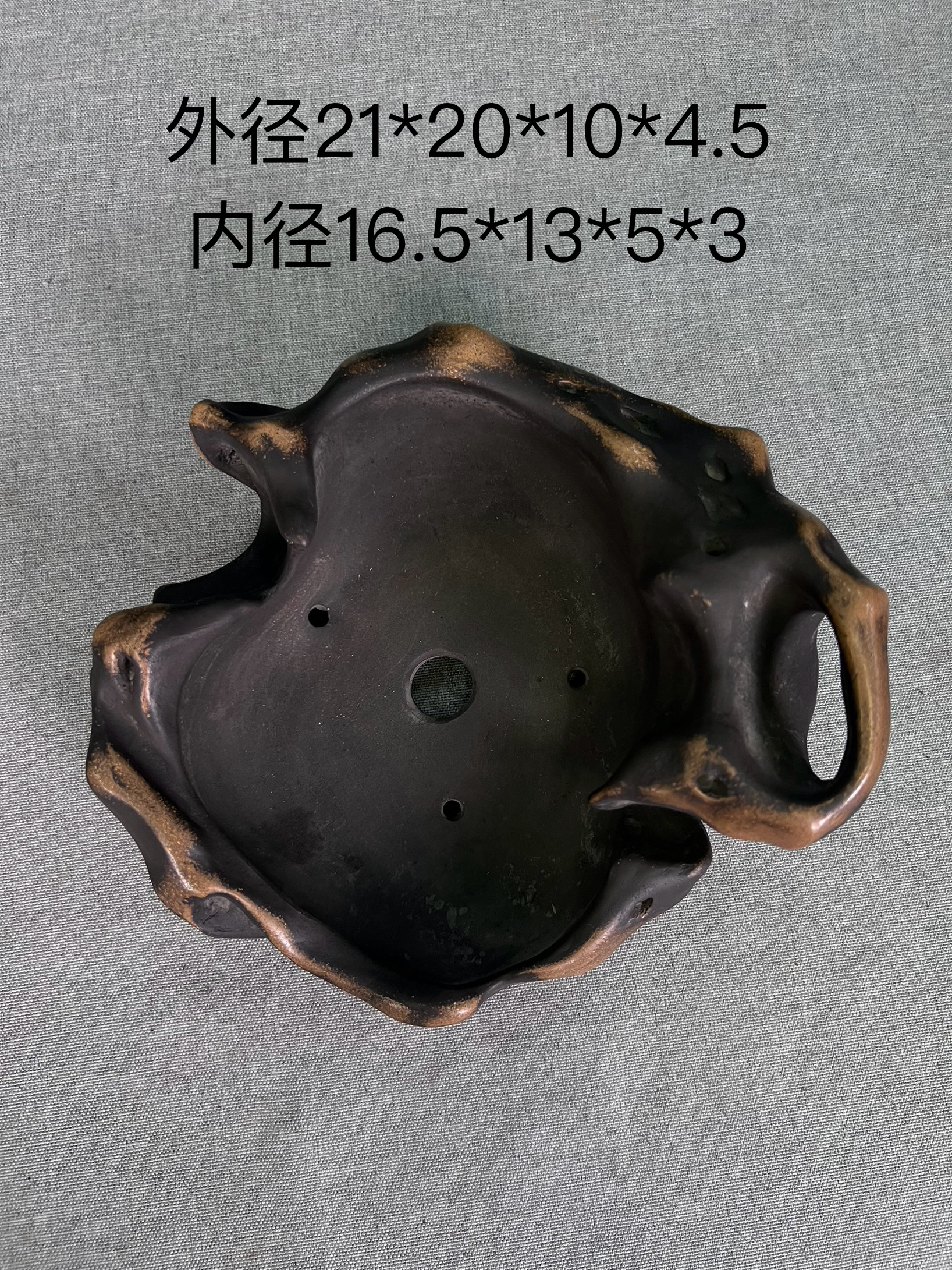 水明盆，太湖石紫砂异形盆配树不喧兵夺主后期价值空间大，赏用皆宜