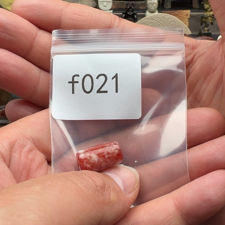 手串菩提根/象牙果