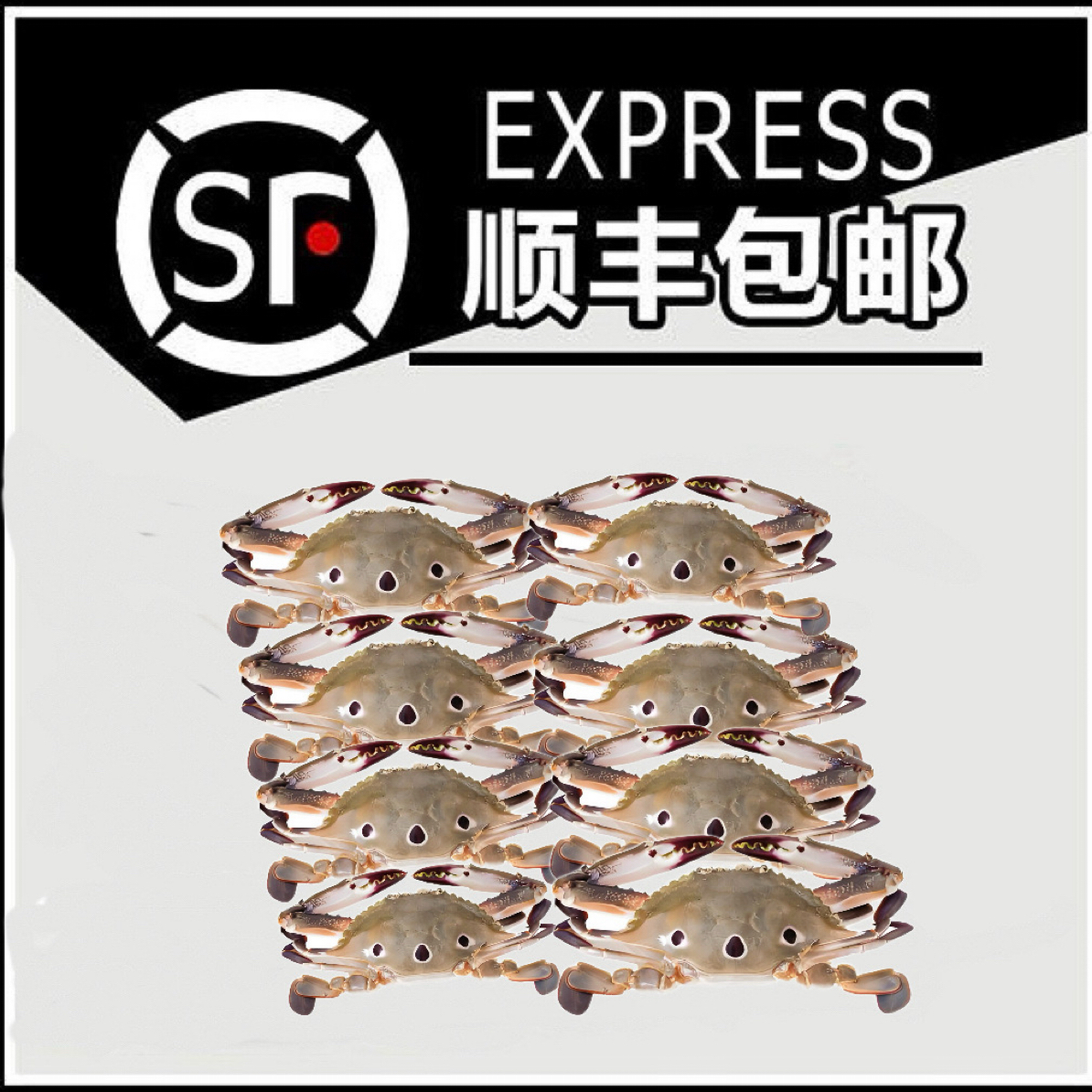 【小三目脐套餐】惠来本港杂鱼套餐原产地顺丰冷链包邮送礼佳品