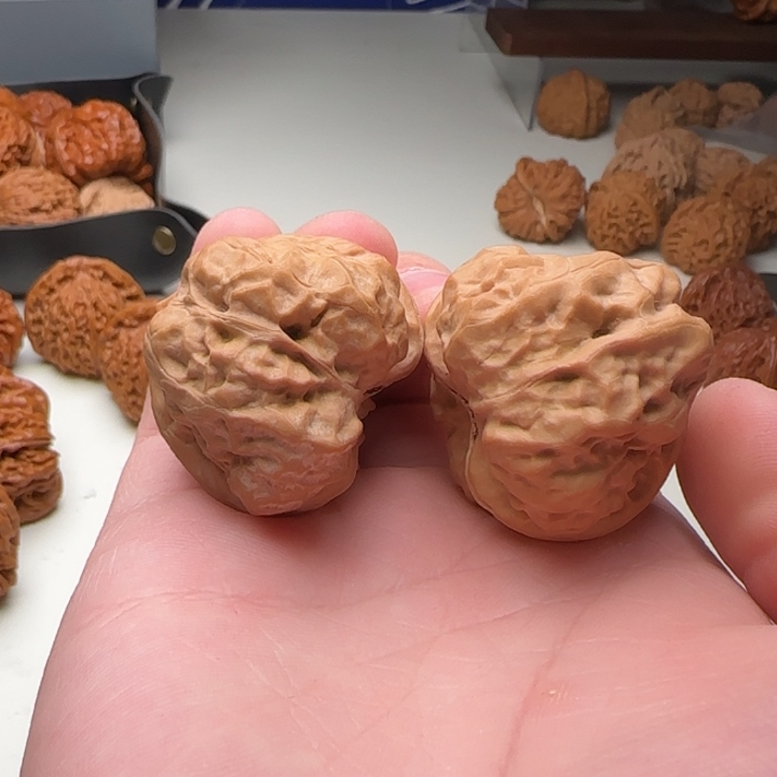 B14号怀柔蛙饼38-40-33