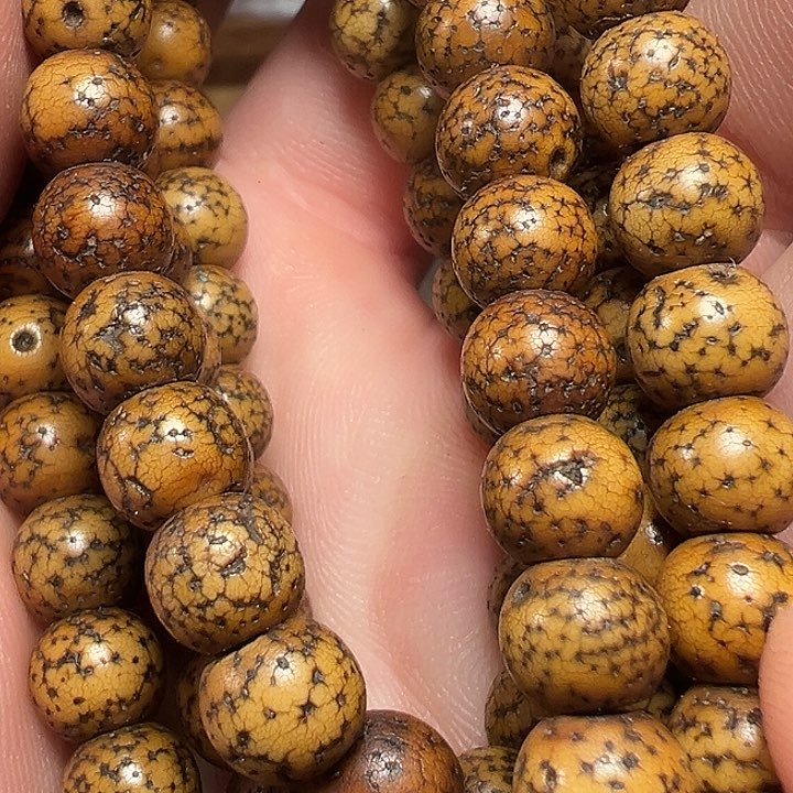 我们都是在这里看到的哈我们