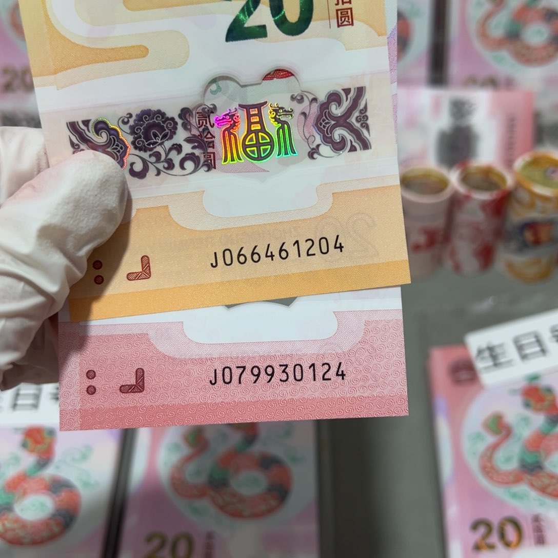 塑料龙钞蛇钞➕两币带盒一套