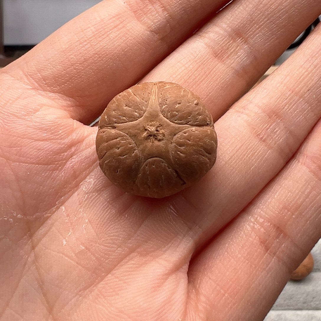 凤眼菩提吊坠墨*五星20