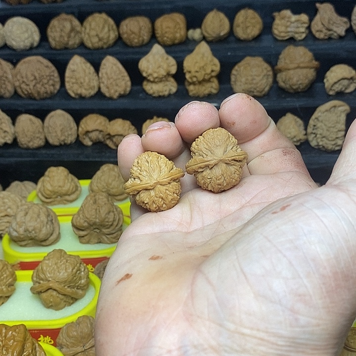 得***惹核桃白狮子手捻成品对