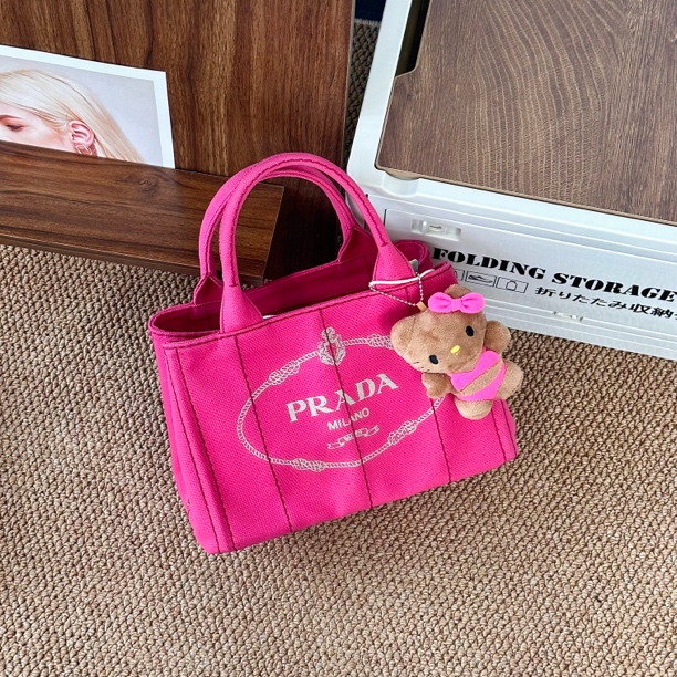 95新 Prada/普拉达 小号火龙果沙滩包/CC