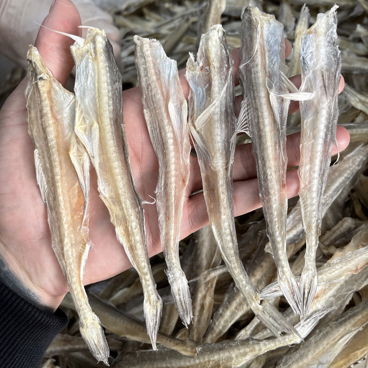 汕尾马宫本港自晒仙鱼脯 豆腐鱼干 九肚鱼，鲜甜不咸配茶配酒下饭