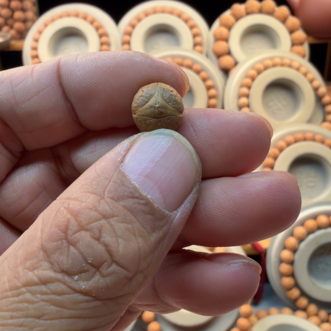 凤眼菩提手串11.3龙眼顶珠一颗