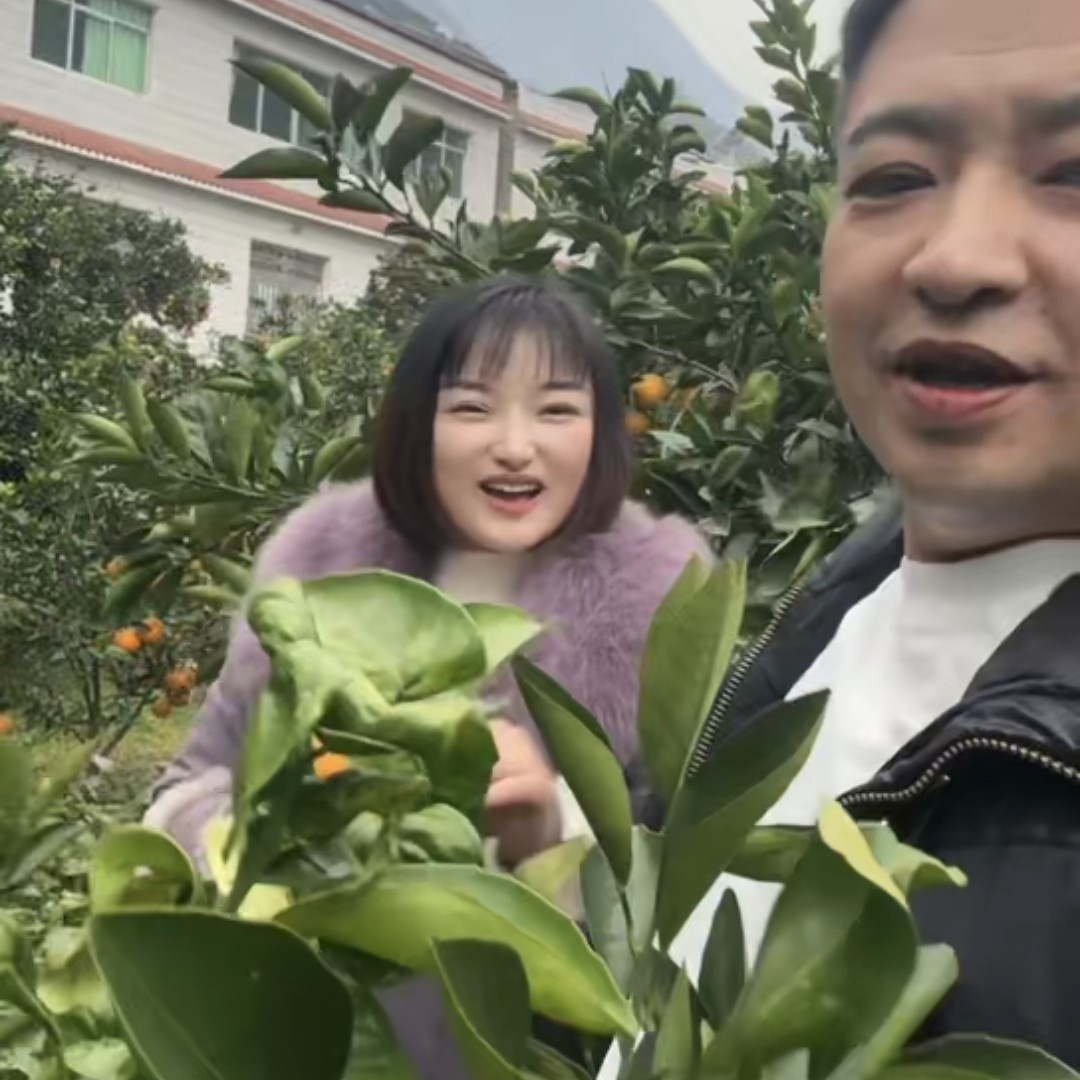 秭归九月红特大果现摘应季水果原产地直发薄皮甘甜爆汁孕妇可食