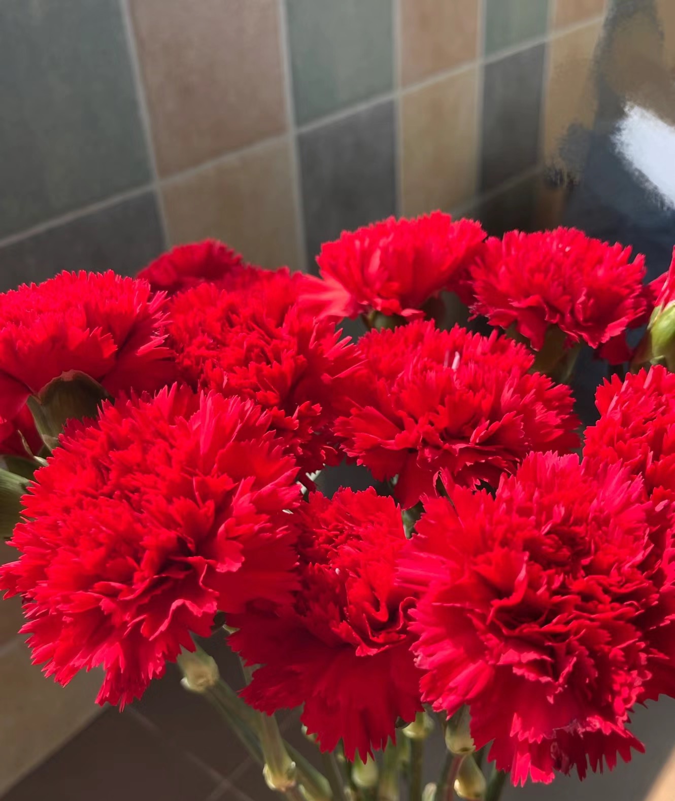 【一件包邮】 红色单头康乃馨20支   云南基地鲜花 家养 水养