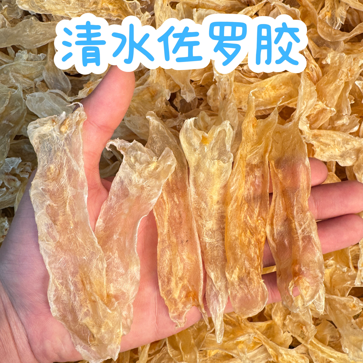 220头佐罗胶黄花胶炖奶奶冻野生胶质多高泡发鱼胶花胶天然清水货