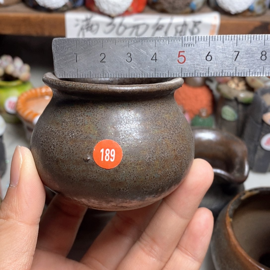 拍5送一个小礼物