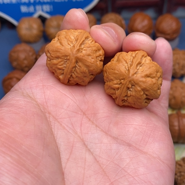 文玩核桃把件肉龙