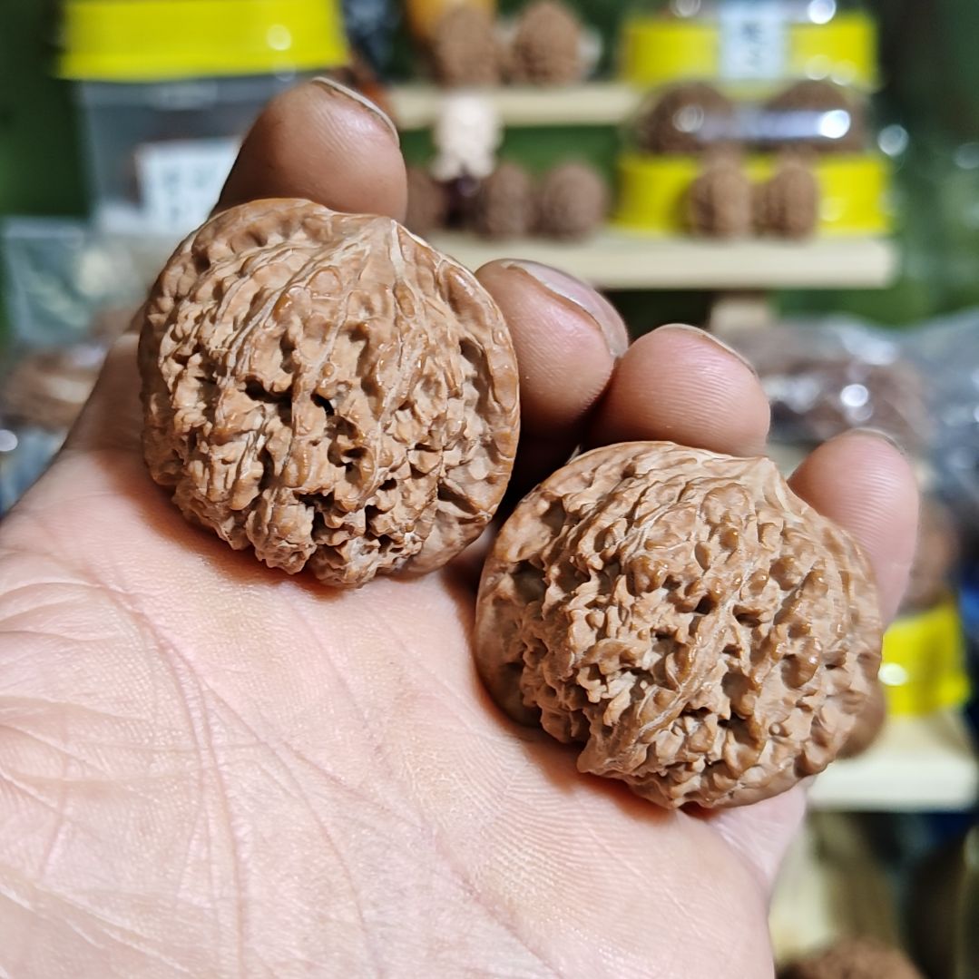 40加尺寸，137狮子头，练手介意勿拍