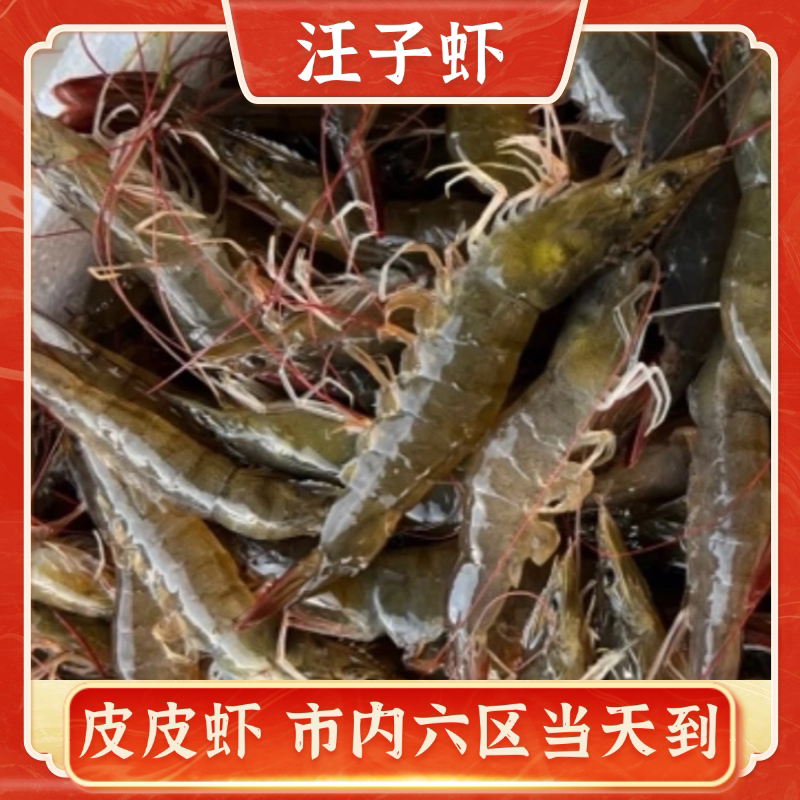 【杨八妹汪子虾】汉沽汪子虾   5斤 10斤 保鲜不保活
