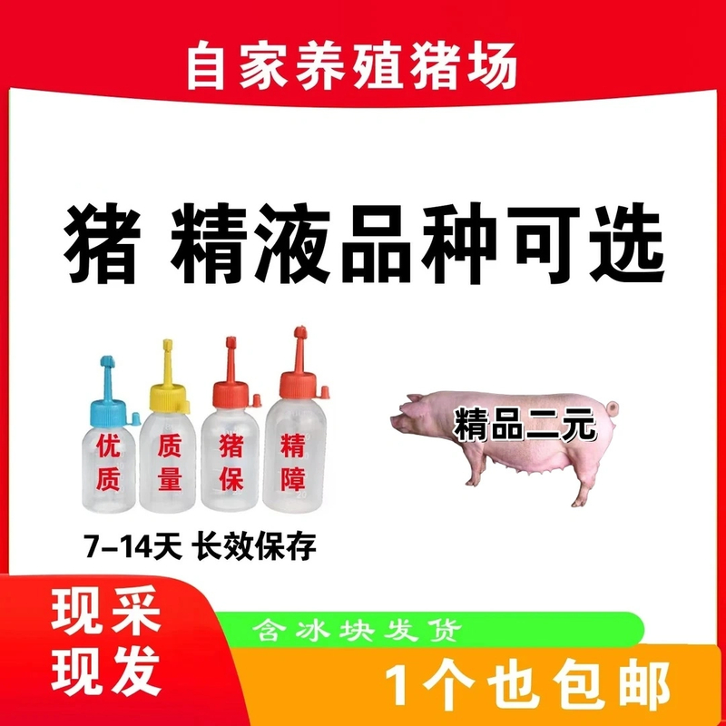 二元种公精液一件包邮包对版生态养殖批发输精管猪用耗材