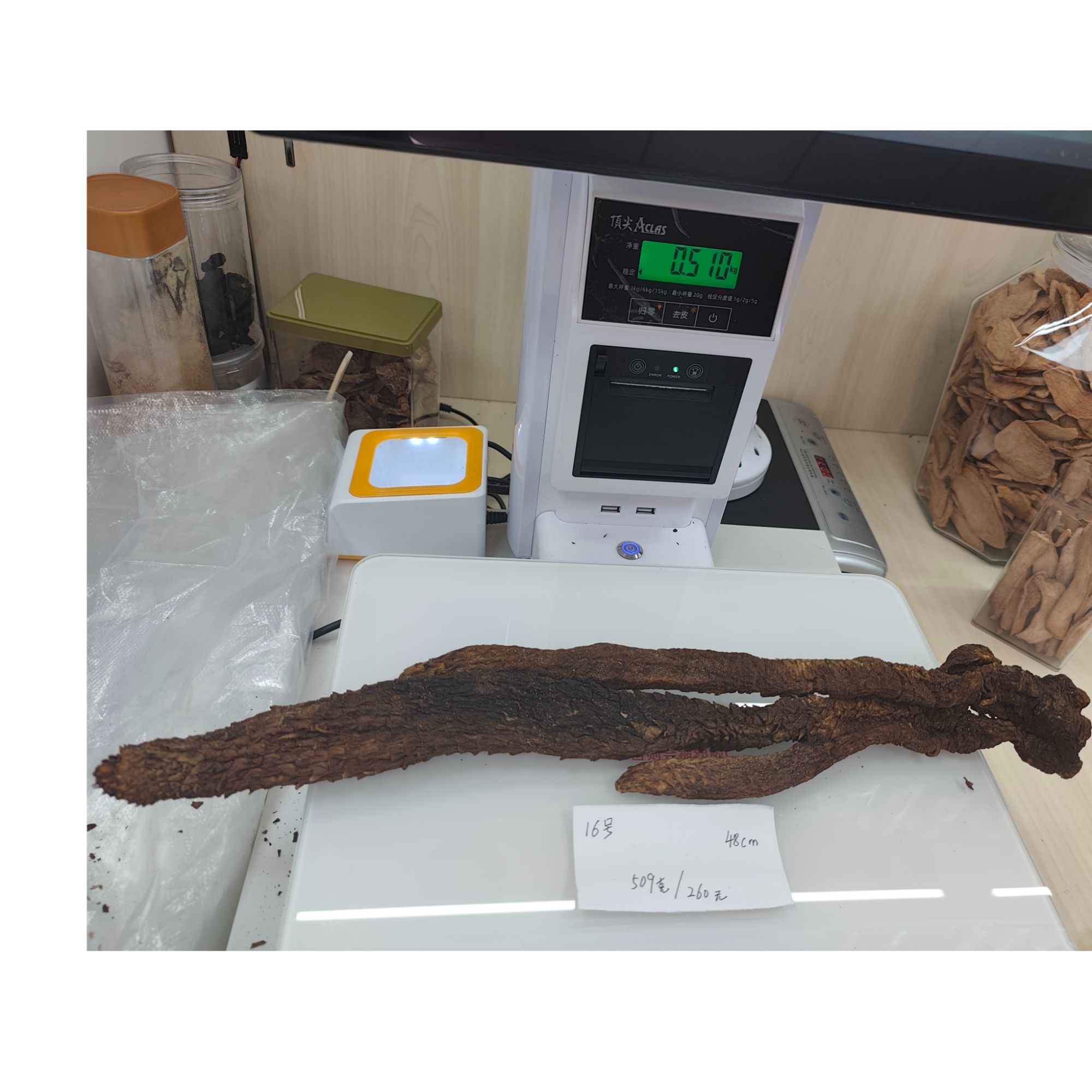 （16号）肉苁蓉整根（重509克 长48厘米）