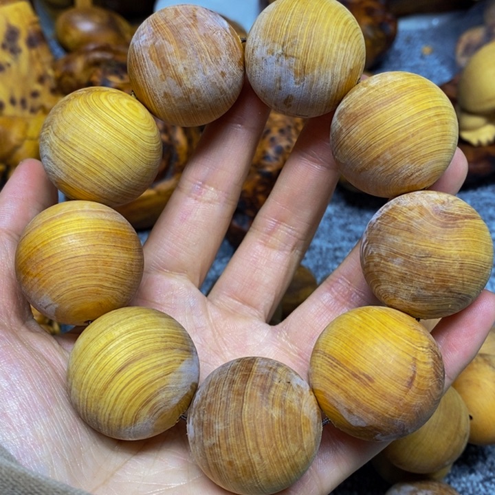 柏木（崖柏）崖柏304随机发一条