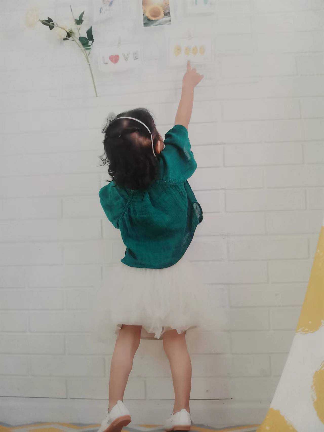 宝贝衣服扣号链接19.9-39.9 直播花型为主 备注编码