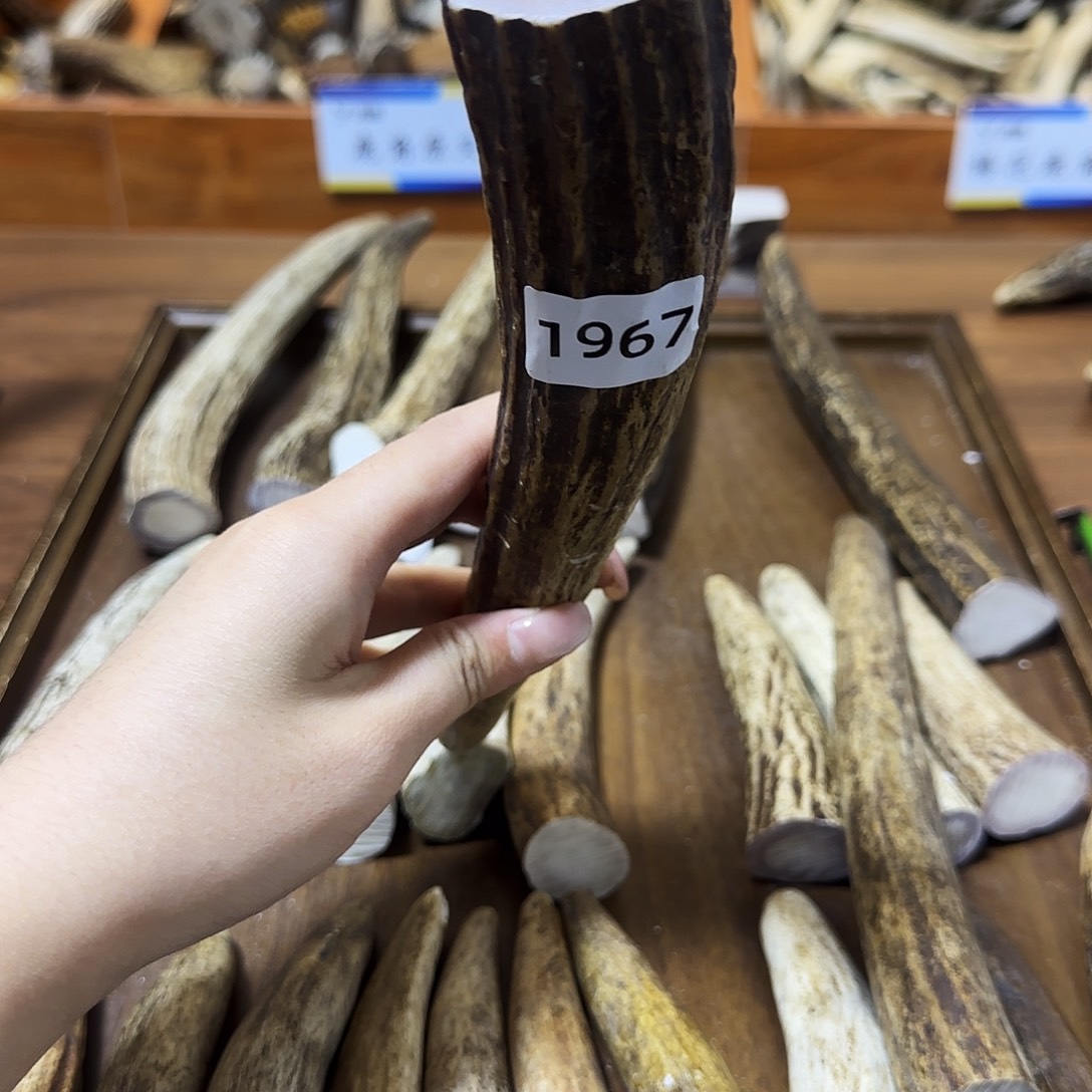 手串/手链鹿骨1967角尖