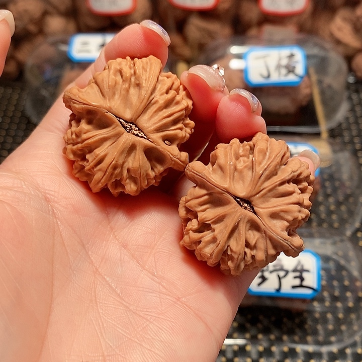 核桃手串/手链38尺寸天地