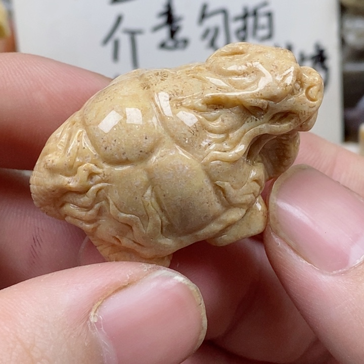 颈饰未镶嵌硅化珊瑚（珊瑚玉）没打孔