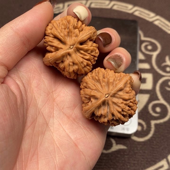 文玩核桃吊坠粗筋蚂蚁王全品