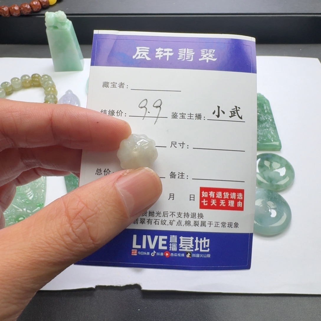 翡翠未镶嵌颈饰    6