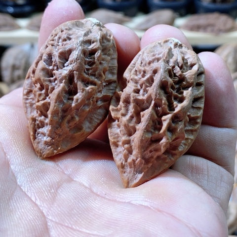 文玩核桃把件鳄鱼背绣花鞋