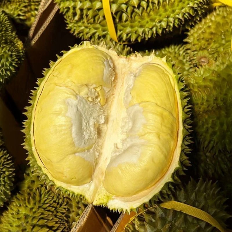 Y【一物一拍】鲜榴莲泰国金枕榴莲水果之王2-10斤