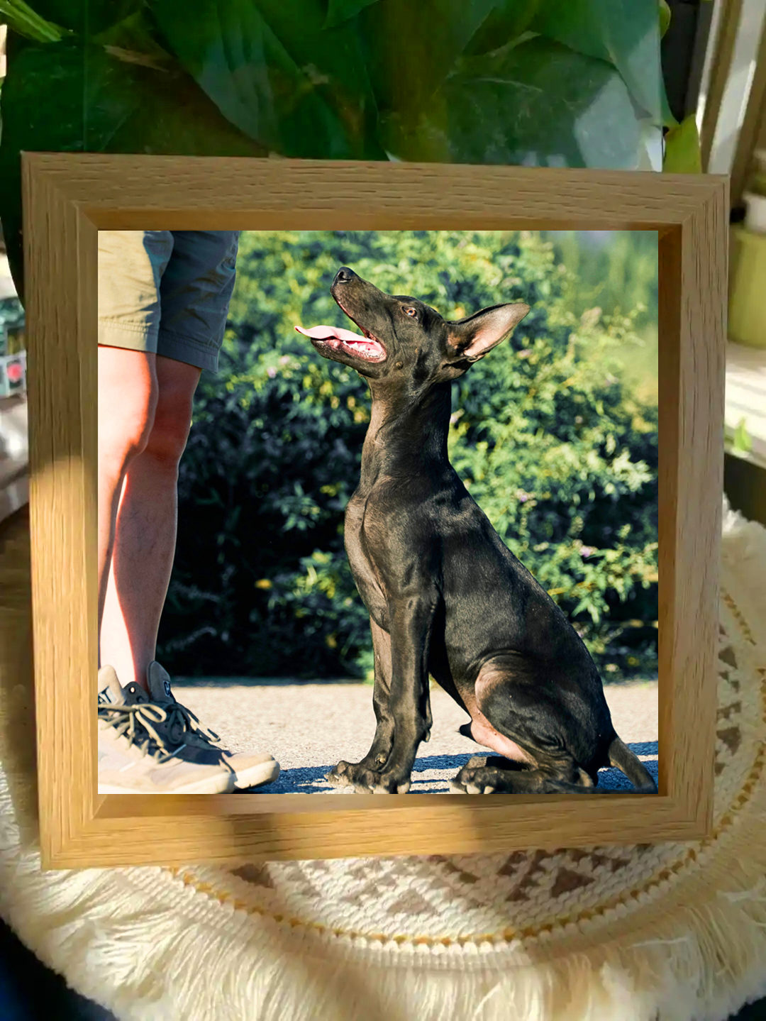 专属相册定制。拍完联系客服、