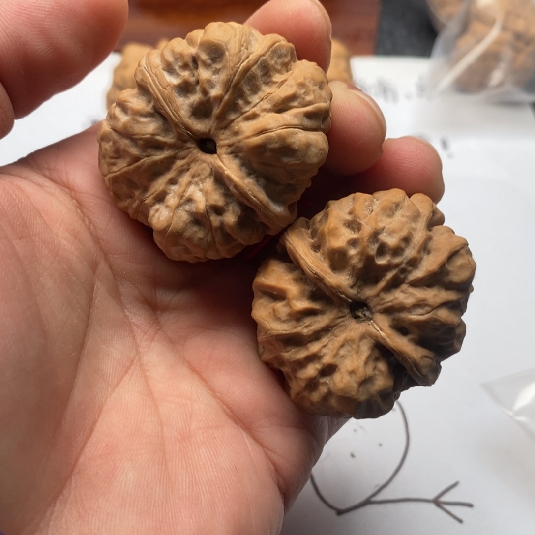 九***香好的我真的是太喜欢了一