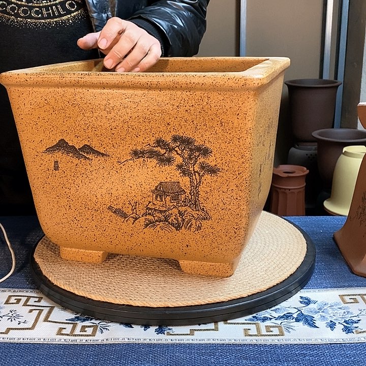 紫砂花盆紫砂花盆