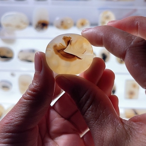 【闪购商品】玛瑙/玉髓珠宝半成品未镶嵌