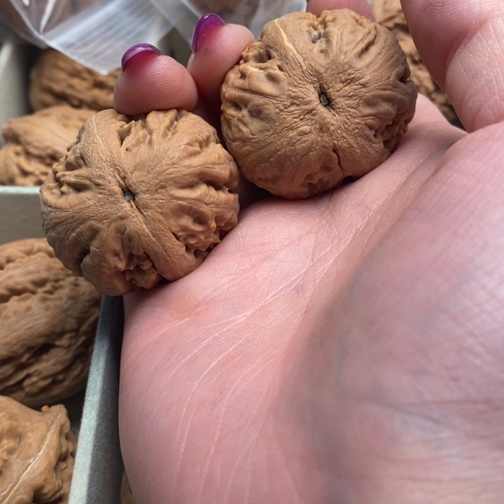 大***天文玩核桃手串霸王龙