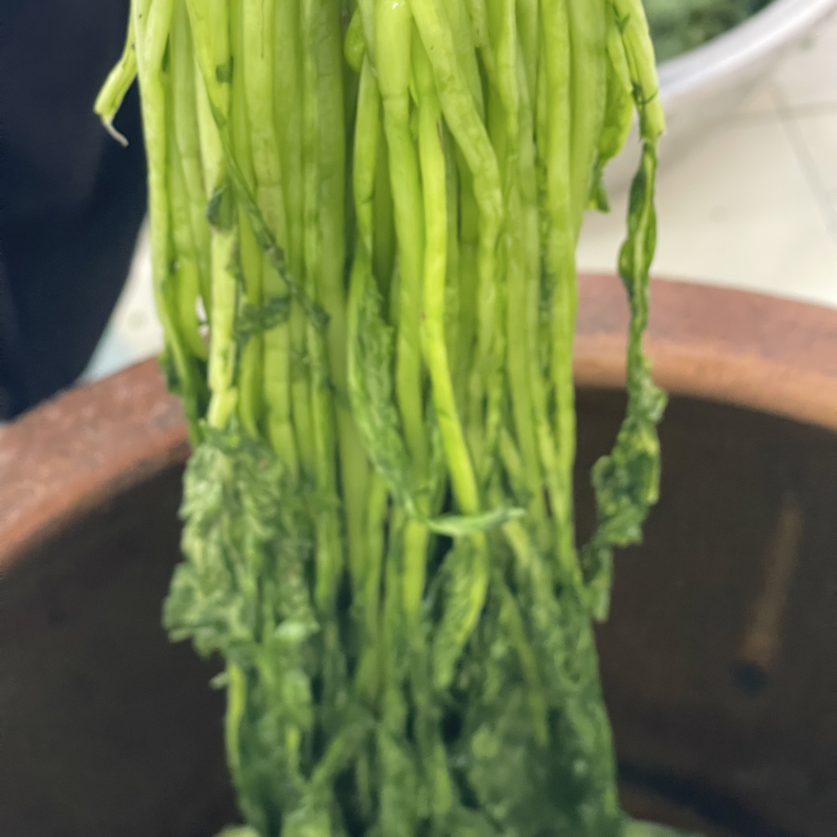 雪里蕻苏北特产东台绿雪菜大缸腌制原味新鲜开味下饭菜