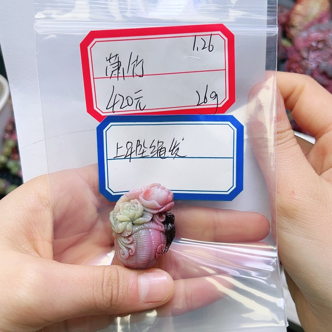 玛瑙/玉髓颈饰未镶嵌潇*盐源玛瑙定制