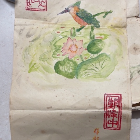 香榧木刘**院Thgfhhvgvvvbbvbbvvv