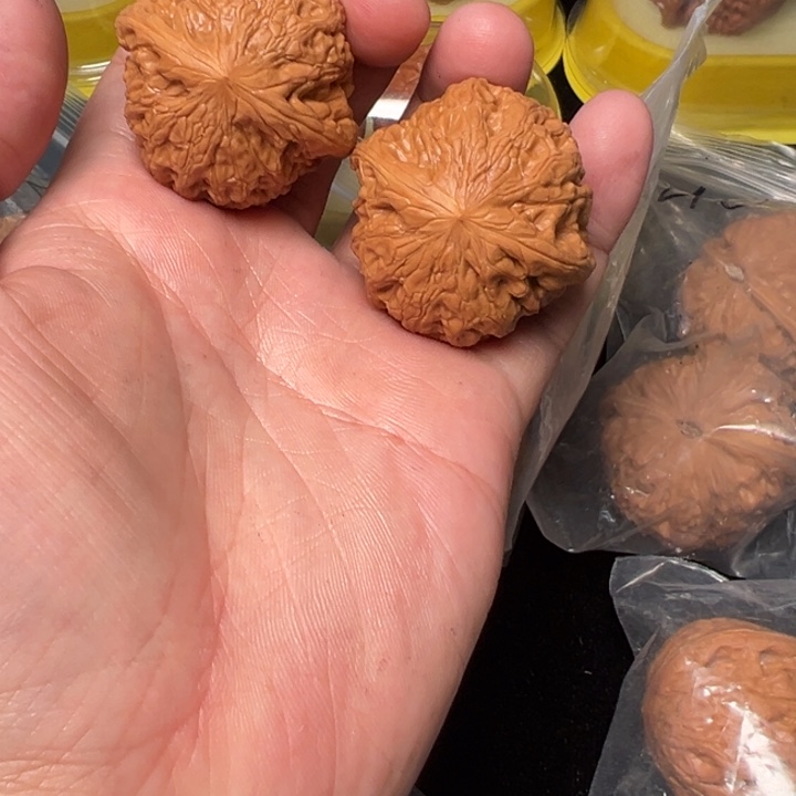 核桃40➕，铁锤，已打底