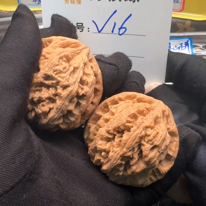 文玩核桃把件蓝*王大粗筋