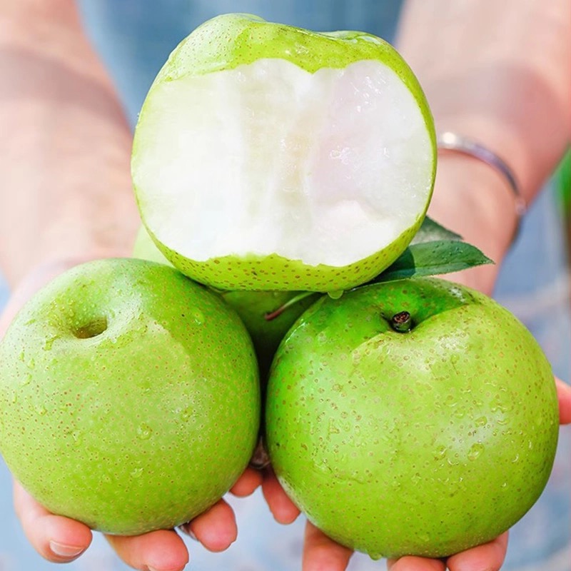 【小时达】脆蜜梨3斤±30g