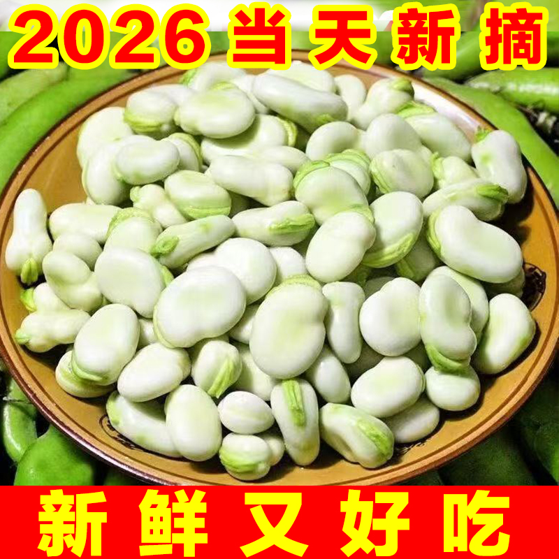 【带壳蚕豆】云南新鲜带壳蚕豆罗汉豆佛南豆毛豆青皮代壳蔬菜类蚕豆商品图