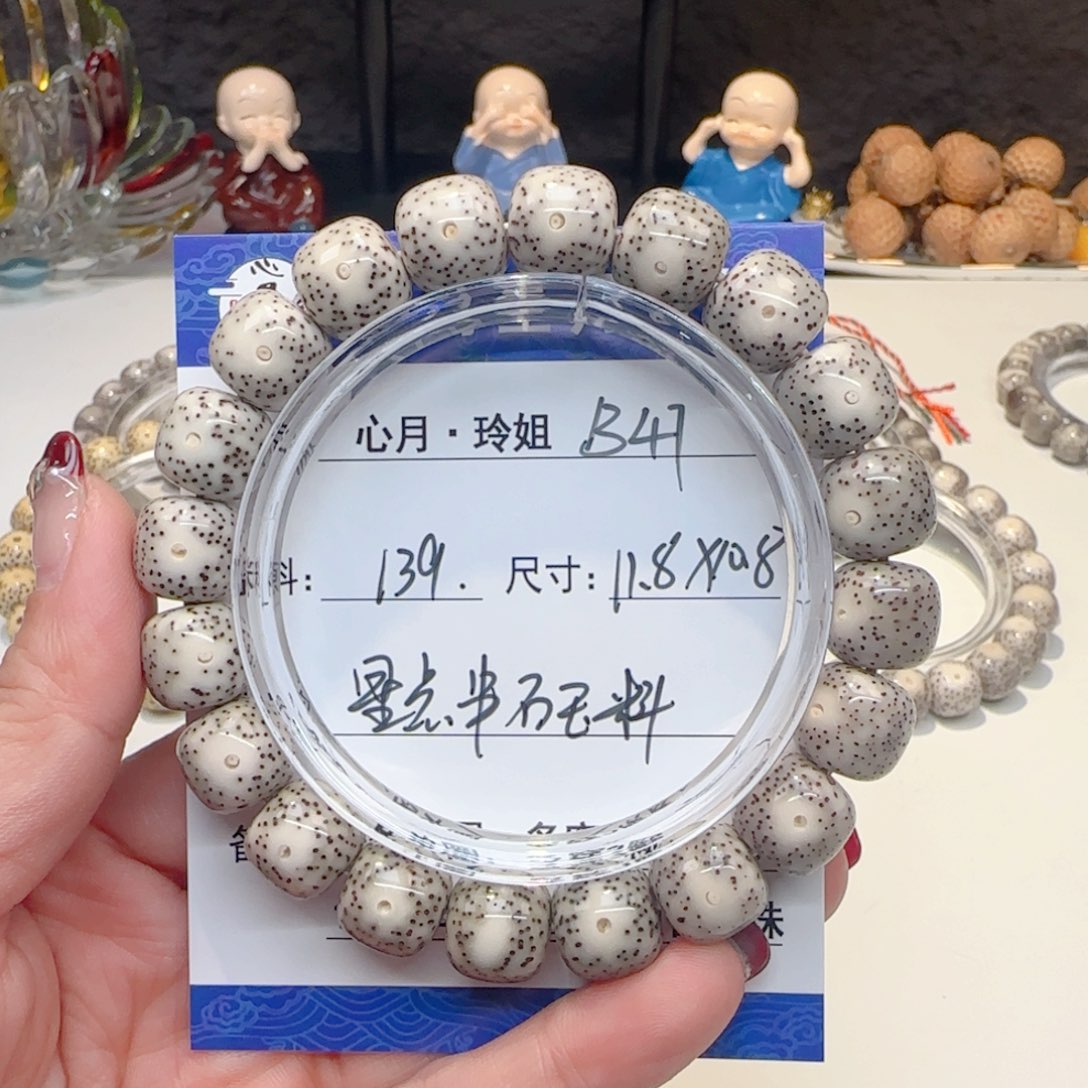 心月星月菩提一号B47