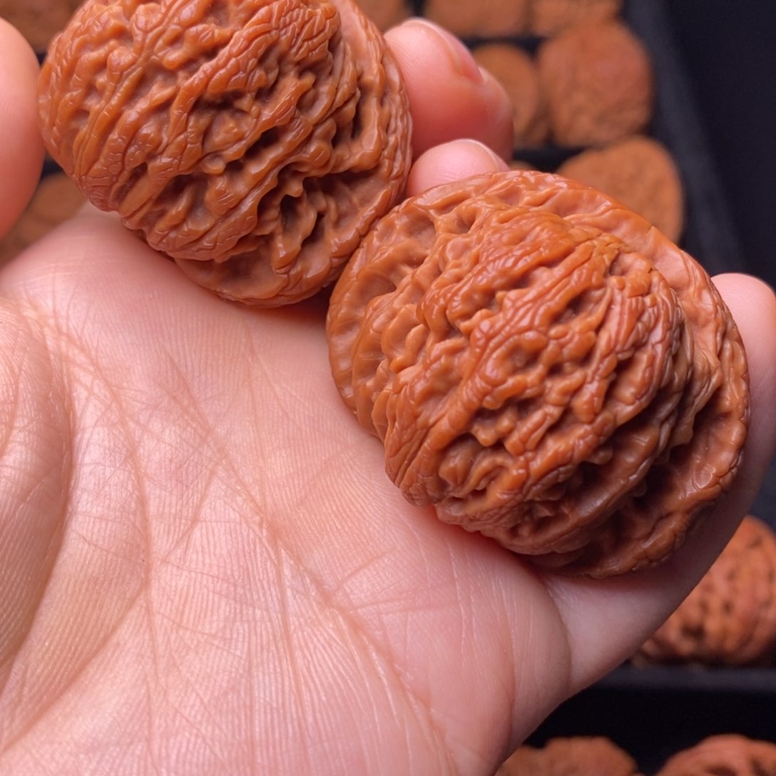 文玩核桃把件秦岭野生核桃