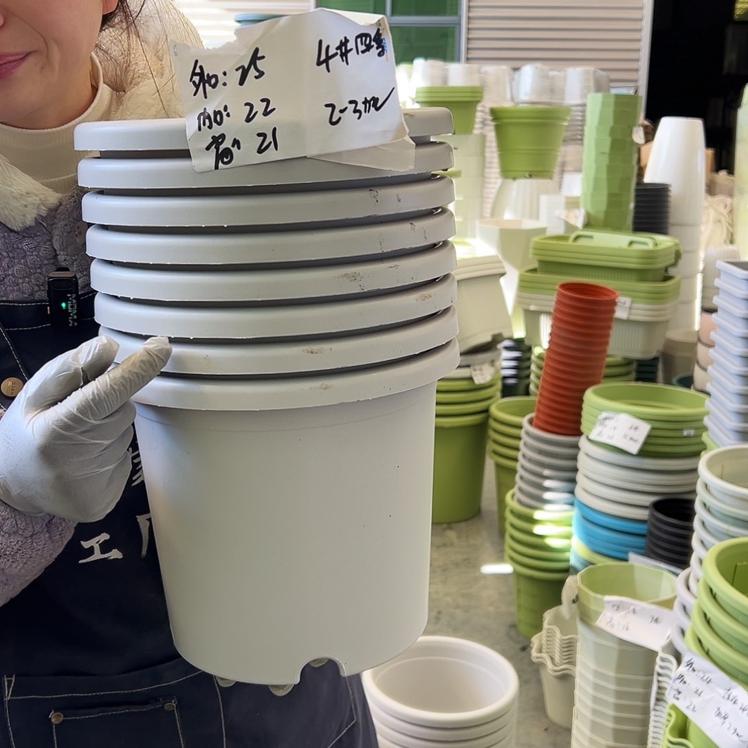 瑕疵四季盆4#灰白8个无托