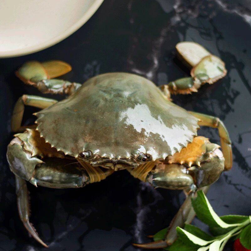 东山岛红树林红膏蟹5-8两/只有膏有黄包活到家（收到不能放冰箱）
